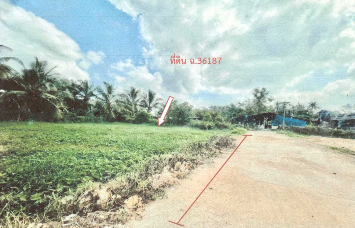รูปที่ดินว่างเปล่า ชะอวด ชะอวด นครศรีธรรมราช