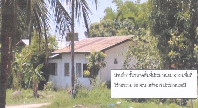 รูปที่ดินพร้อมสิ่งปลูกสร้าง คำโคกสูง วังสามหมอ อุดรธานี