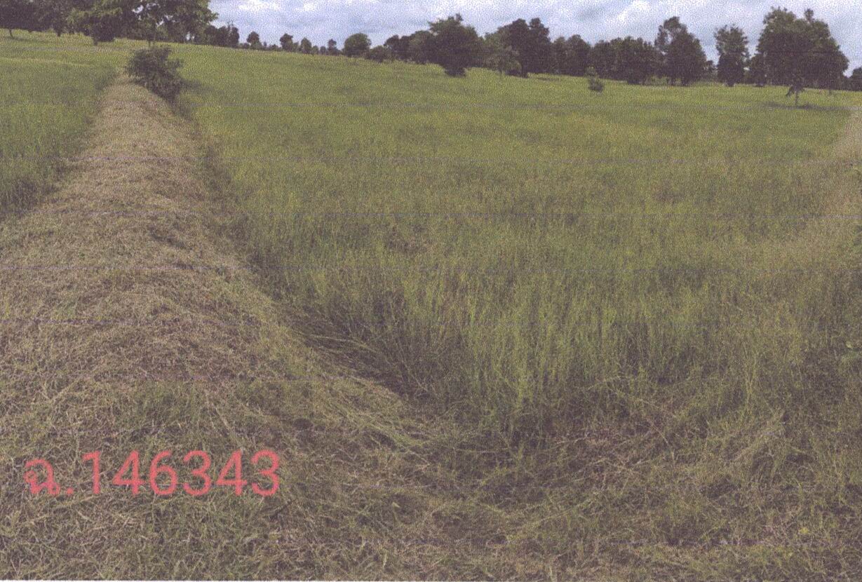 รูปที่ดินว่างเปล่า เฉนียง เมืองสุรินทร์ สุรินทร์