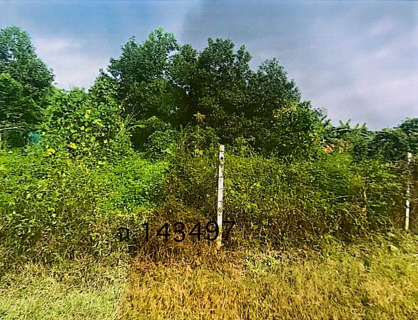 รูปที่ดินว่างเปล่า ท่าซัก เมืองนครศรีธรรมราช นครศรีธรรมราช