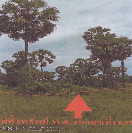 รูปที่ดินว่างเปล่า จะทิ้งพระ สทิงพระ สงขลา