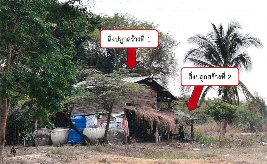 รูปที่ดินพร้อมสิ่งปลูกสร้าง ไทยเจริญ ไทยเจริญ ยโสธร