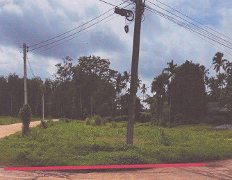 รูปที่ดินว่างเปล่า คลองปาง รัษฏา ตรัง