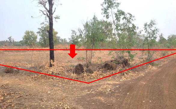 รูปที่ดินว่างเปล่า เตย ม่วงสามสิบ อุบลราชธานี