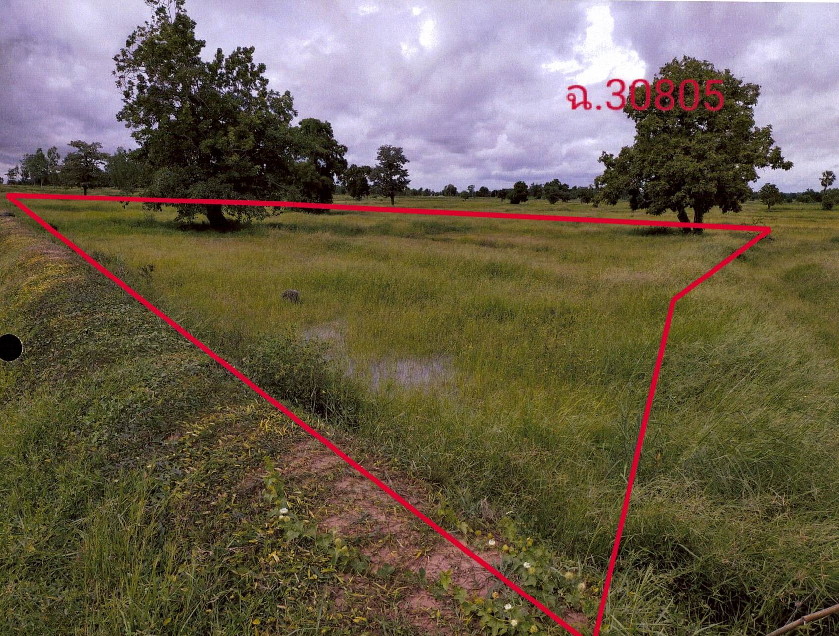 รูปที่ดินว่างเปล่า เมืองลีง จอมพระ สุรินทร์