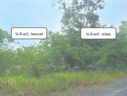 รูปที่ดินว่างเปล่า ควนหนองหงษ์ ชะอวด นครศรีธรรมราช