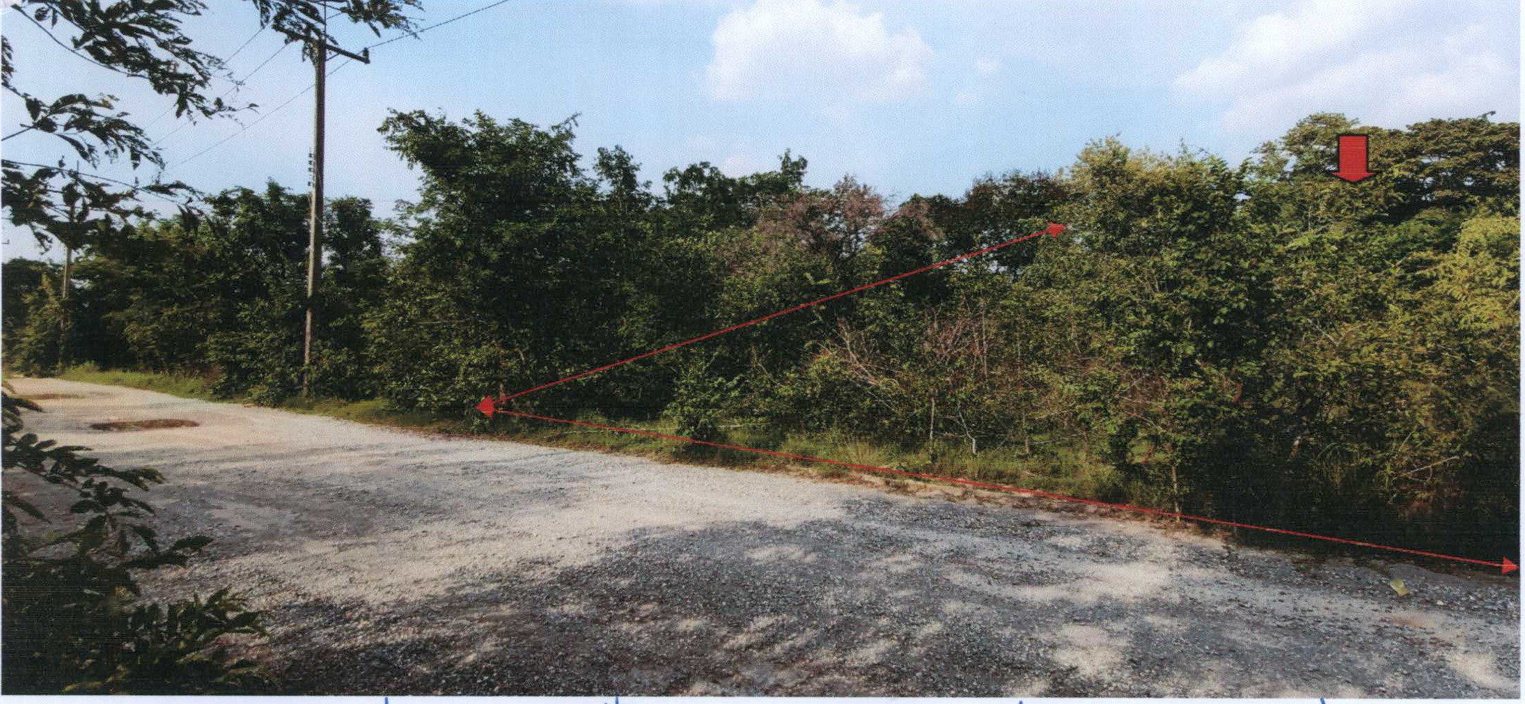 รูปที่ดินว่างเปล่า ตะคุ ปักธงชัย นครราชสีมา
