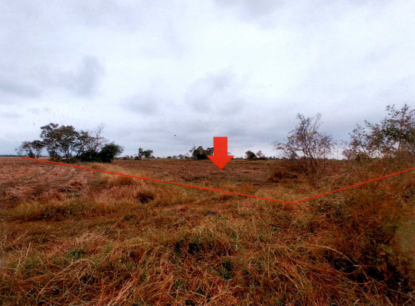 รูปที่ดินว่างเปล่า บัลลังก์ โนนไทย นครราชสีมา