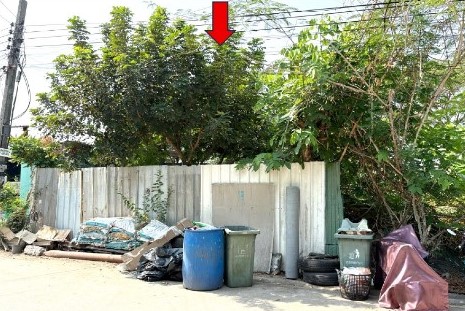 รูปที่ดินว่างเปล่า คลองถนน(ดอนเมือง) บางเขน กรุงเทพมหานคร