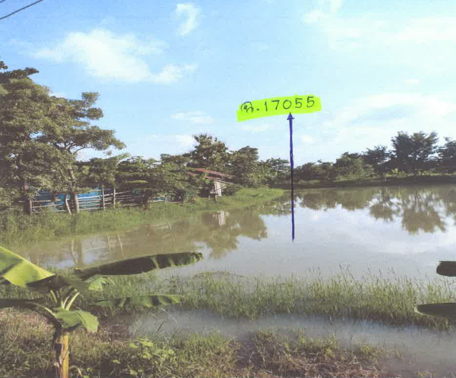 รูปที่ดินว่างเปล่า สีสุก จักราช นครราชสีมา