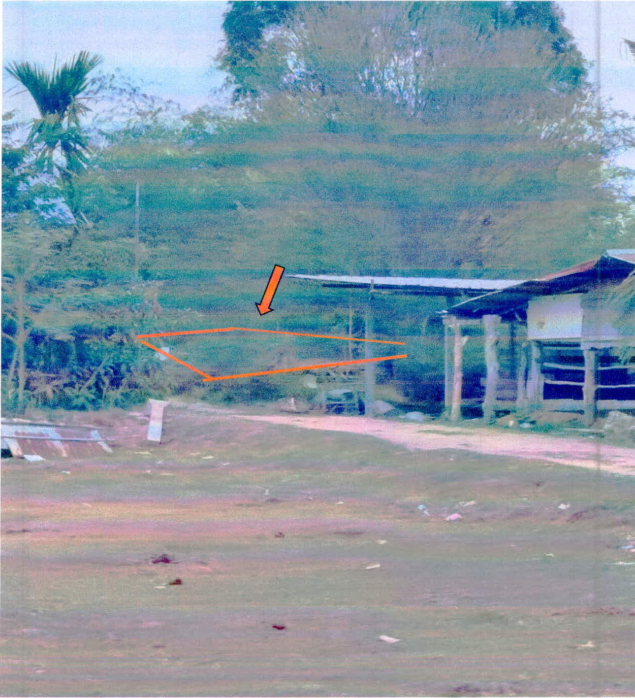 รูปที่ดินว่างเปล่า พยุห์ พยุห์ ศรีสะเกษ