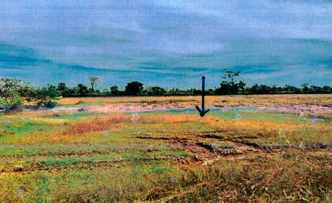 รูปที่ดินว่างเปล่า เมืองที เมืองสุรินทร์ สุรินทร์
