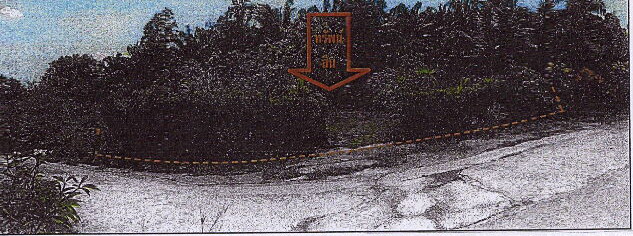 รูปที่ดินว่างเปล่า หนองทะเล เมืองกระบี่ กระบี่