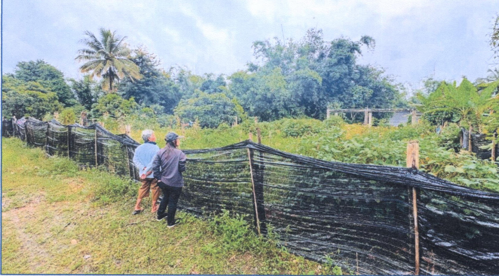 รูปที่ดินว่างเปล่า ท่าก๊อ แม่สรวย เชียงราย