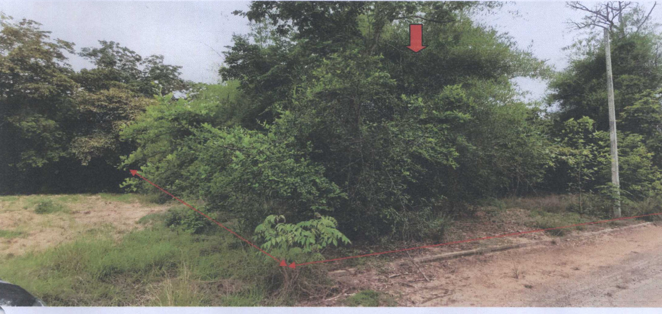รูปที่ดินว่างเปล่า ตะคุ ปักธงชัย นครราชสีมา