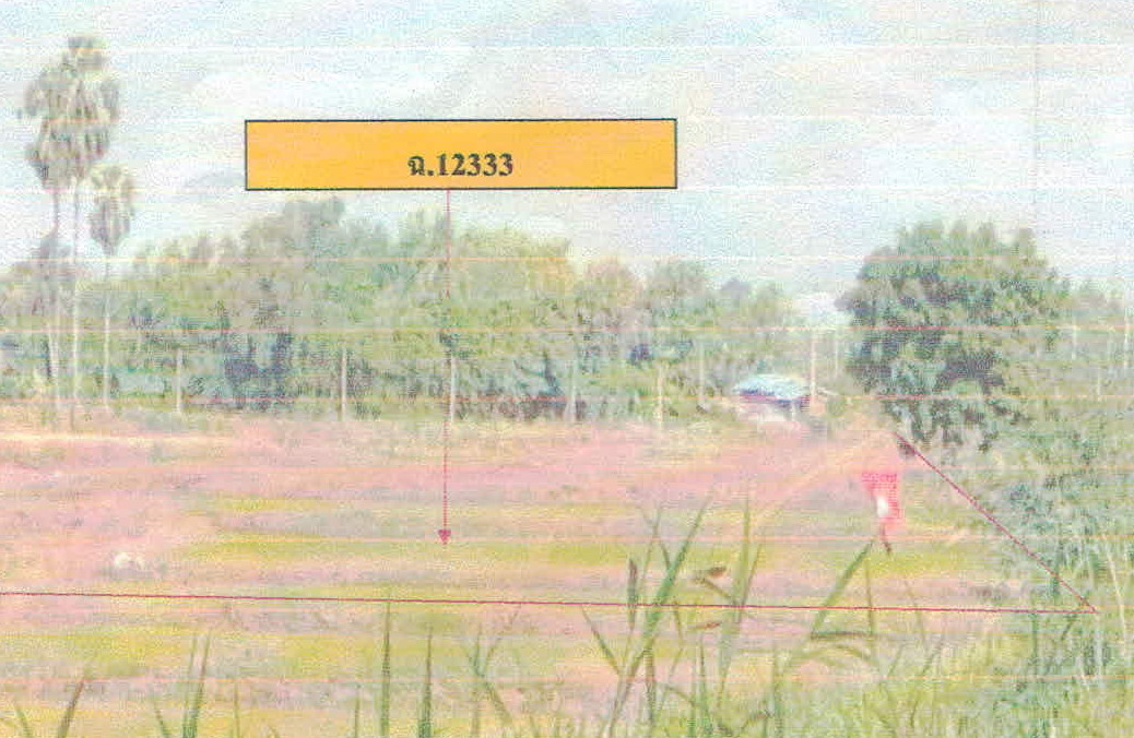 รูปที่ดินว่างเปล่า ท้อแท้ วัดโบสถ์ พิษณุโลก