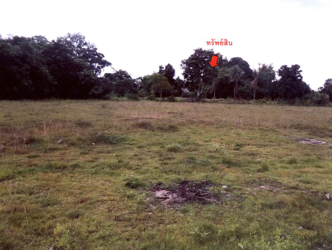 รูปที่ดินว่างเปล่า ไร่น้อย เมืองอุบลราชธานี อุบลราชธานี