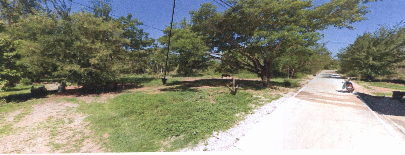 รูปที่ดินว่างเปล่า ต้นธงชัย เมืองลำปาง ลำปาง