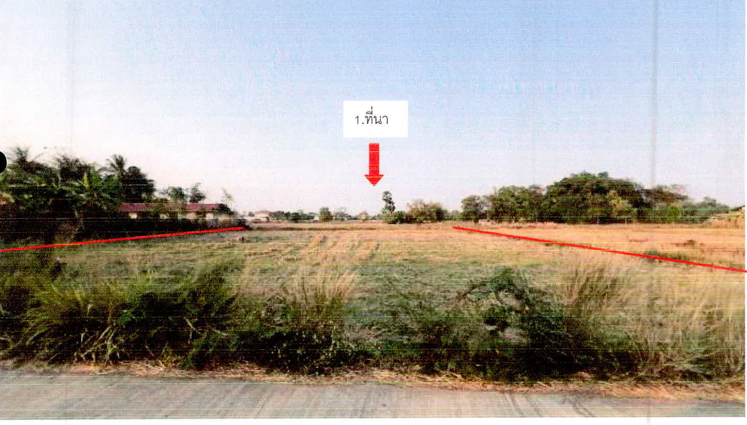 รูปที่ดินว่างเปล่า ตองปิด น้ำเกลี้ยง ศรีสะเกษ
