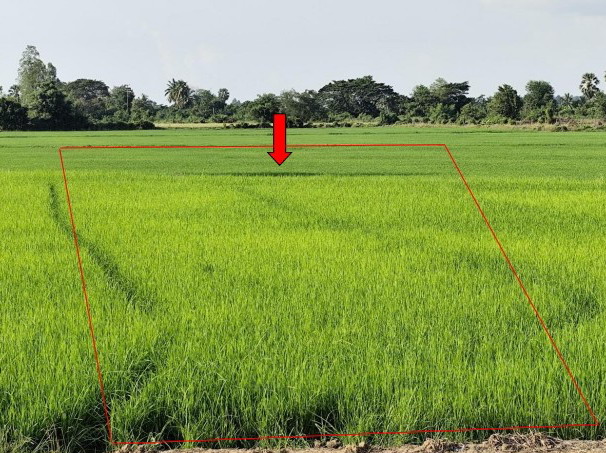 รูปที่ดินว่างเปล่า สลกบาตร ขาณุวรลักษบุรี กำแพงเพชร