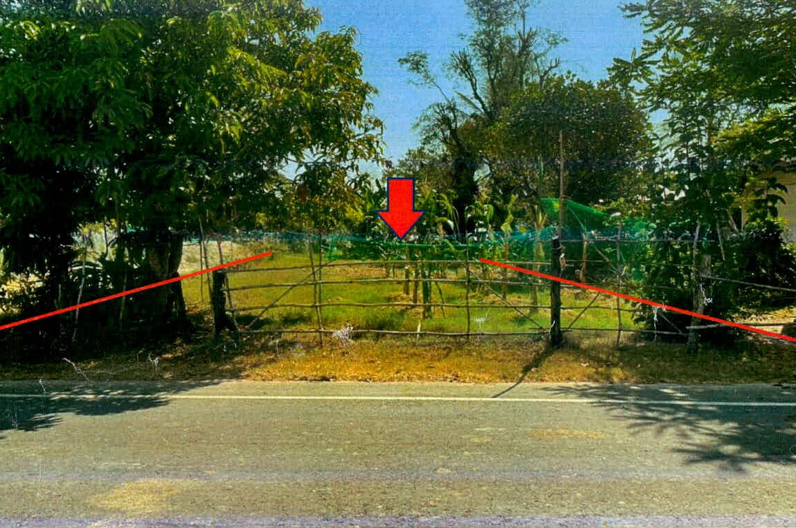 รูปที่ดินว่างเปล่า โชคเหนือ ลำดวน สุรินทร์