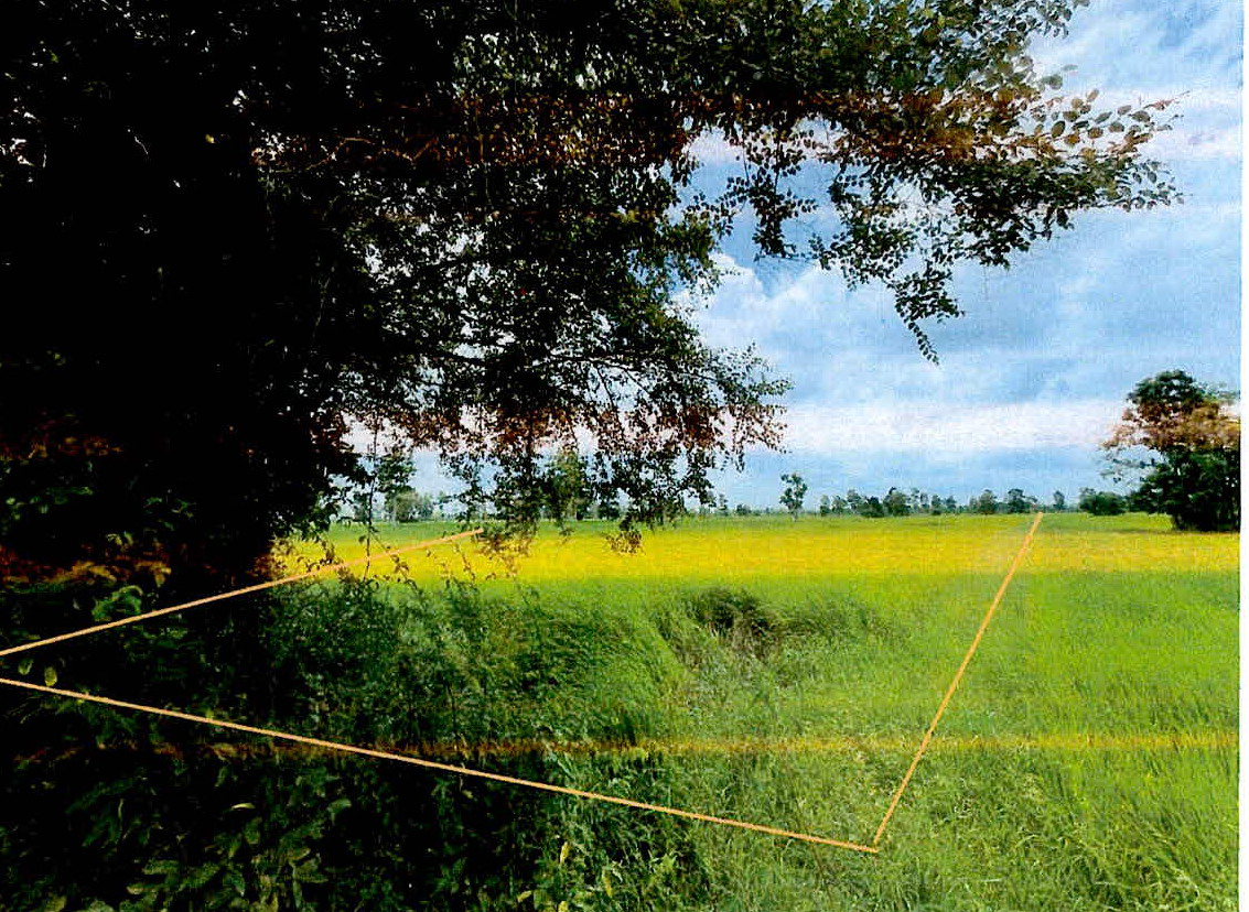 รูปที่ดินว่างเปล่า บุฤาษี เมืองสุรินทร์ สุรินทร์