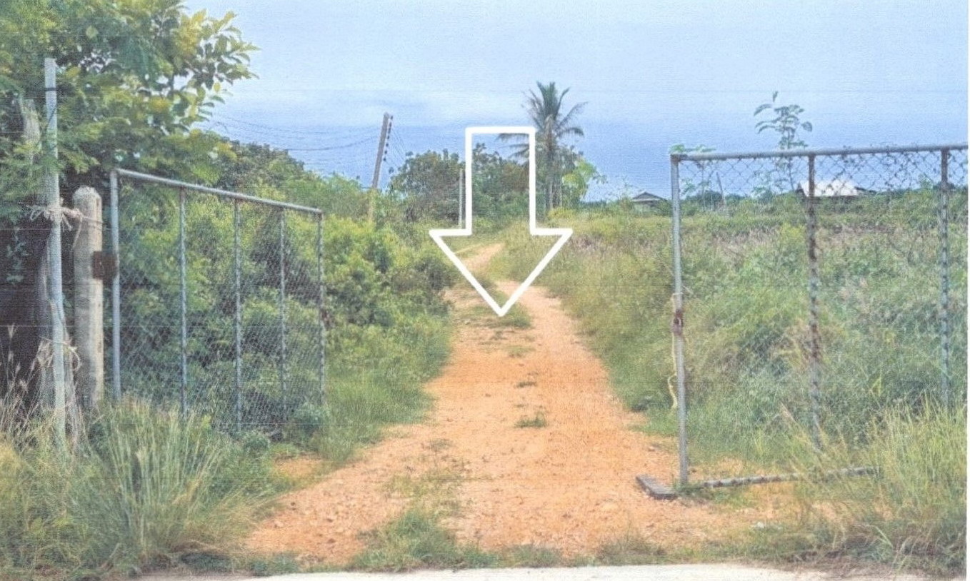 รูปที่ดินว่างเปล่า ปากแตระ ระโนด สงขลา