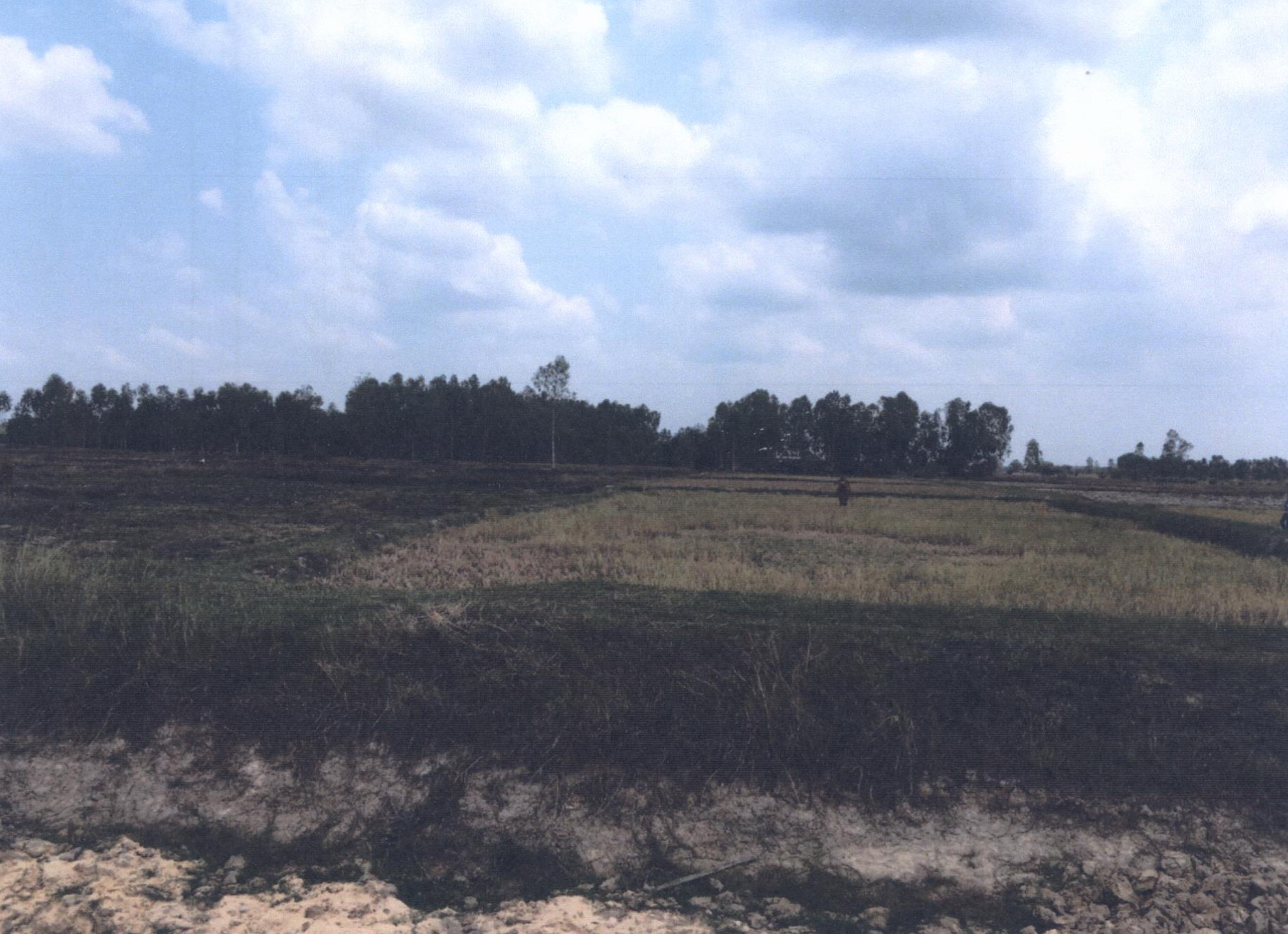 รูปที่ดินว่างเปล่า หนองบ่อ เมืองอุบลราชธานี อุบลราชธานี