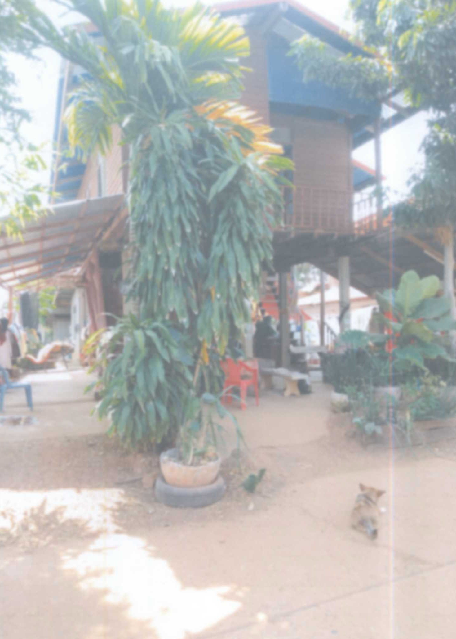รูปที่ดินพร้อมสิ่งปลูกสร้าง โคกสว่าง ปลาปาก นครพนม