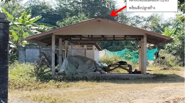 รูปที่ดินพร้อมสิ่งปลูกสร้าง ศรีค้ำ แม่จัน เชียงราย