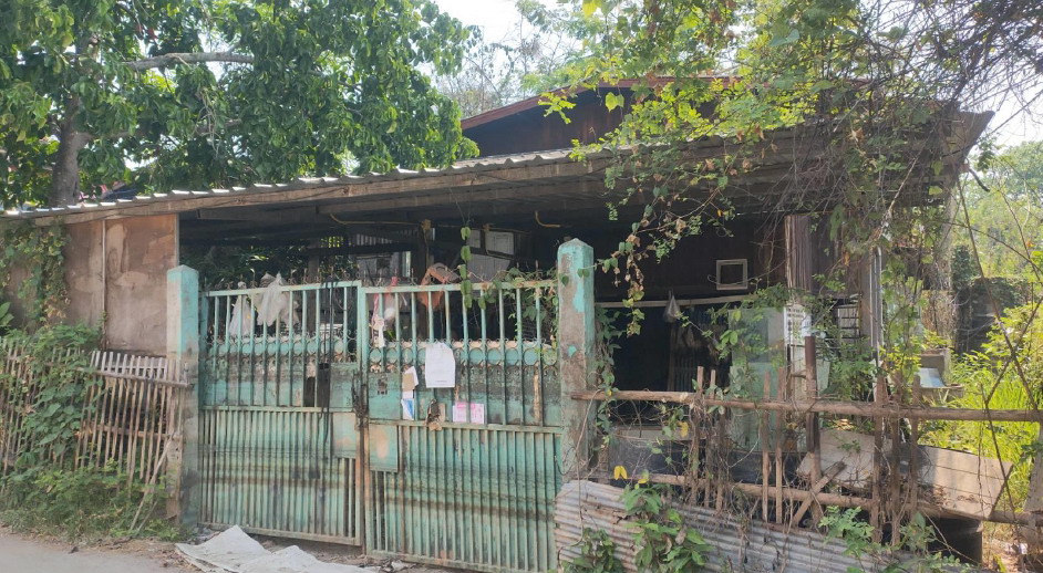 รูปที่ดินพร้อมสิ่งปลูกสร้าง วัดเกษ เมืองเชียงใหม่ เชียงใหม่