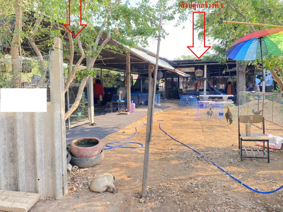 รูปที่ดินพร้อมสิ่งปลูกสร้าง นาสีนวน กันทรวิชัย มหาสารคาม