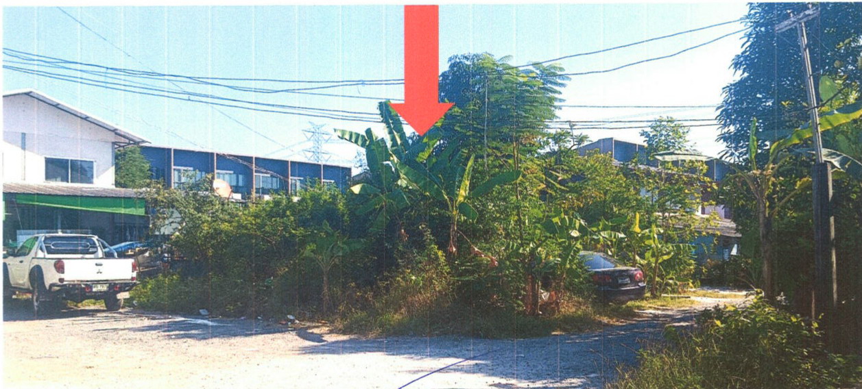 รูปที่ดินว่างเปล่า สะพานสูง(คลองประเวศฝั่งเหนือ) สะพานสูง(พระโขนง) กรุงเทพมหานคร