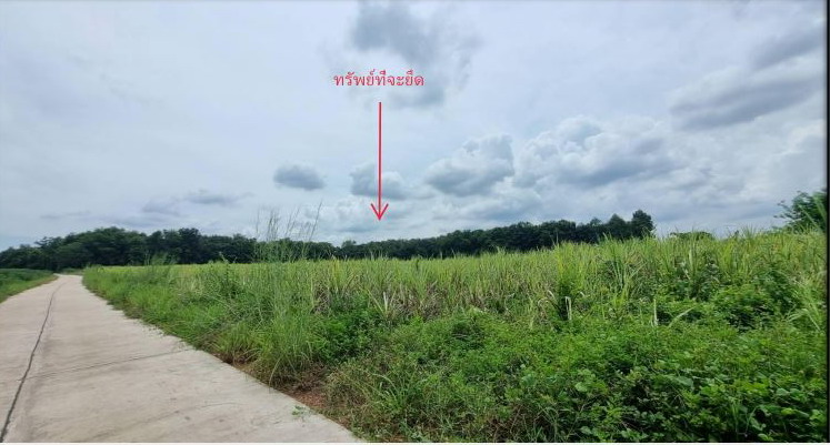 รูปที่ดินว่างเปล่า บ้านโปร่ง ศรีธาตุ อุดรธานี