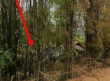 รูปที่ดินว่างเปล่า ท่าสาย เมืองเชียงราย เชียงราย