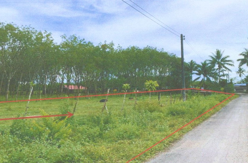 รูปที่ดินว่างเปล่า บ้านนา ปะเหลียน ตรัง