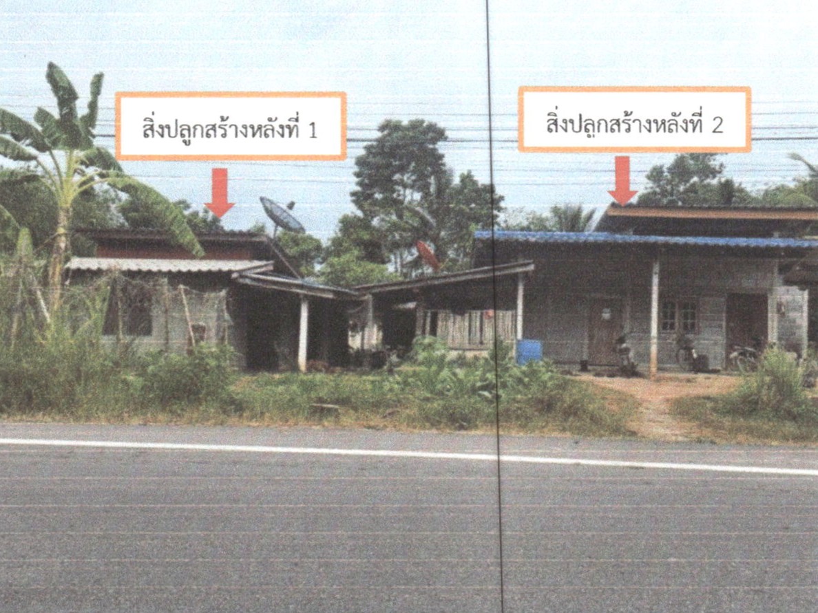 รูปที่ดินพร้อมสิ่งปลูกสร้าง ทุ่งนารี ป่าบอน พัทลุง