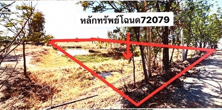 รูปที่ดินว่างเปล่า โนนไทย โนนไทย นครราชสีมา