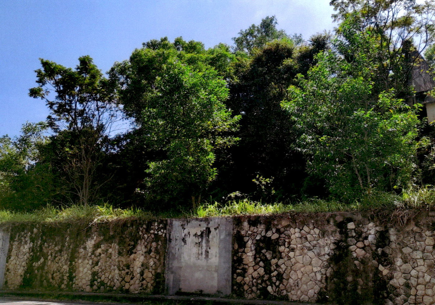 รูปที่ดินว่างเปล่า เกาะแก้ว เมืองภูเก็ต ภูเก็ต