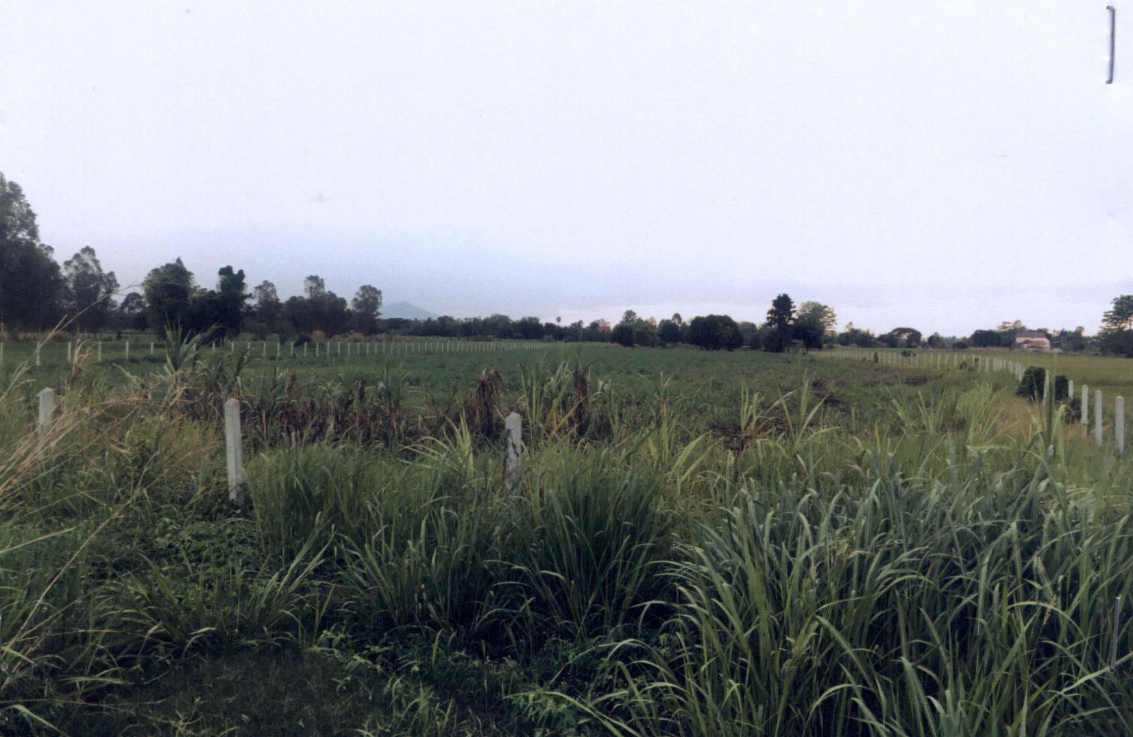 รูปที่ดินว่างเปล่า ท่าขุนราม เมืองกำแพงเพชร กำแพงเพชร