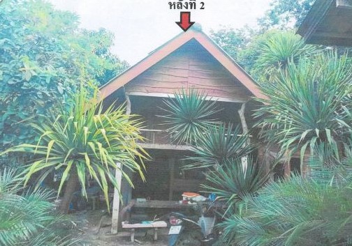รูปที่ดินพร้อมสิ่งปลูกสร้าง เขาขาว ทุ่งสง นครศรีธรรมราช