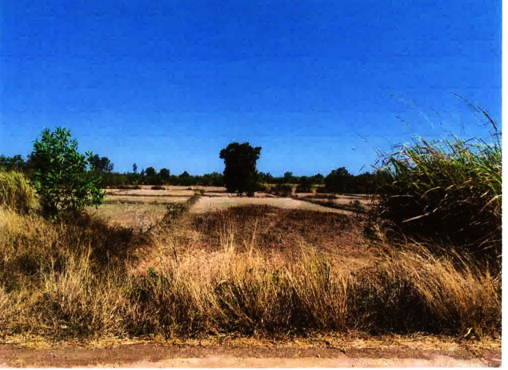 รูปที่ดินว่างเปล่า หนองลาด เมืองสกลนคร สกลนคร