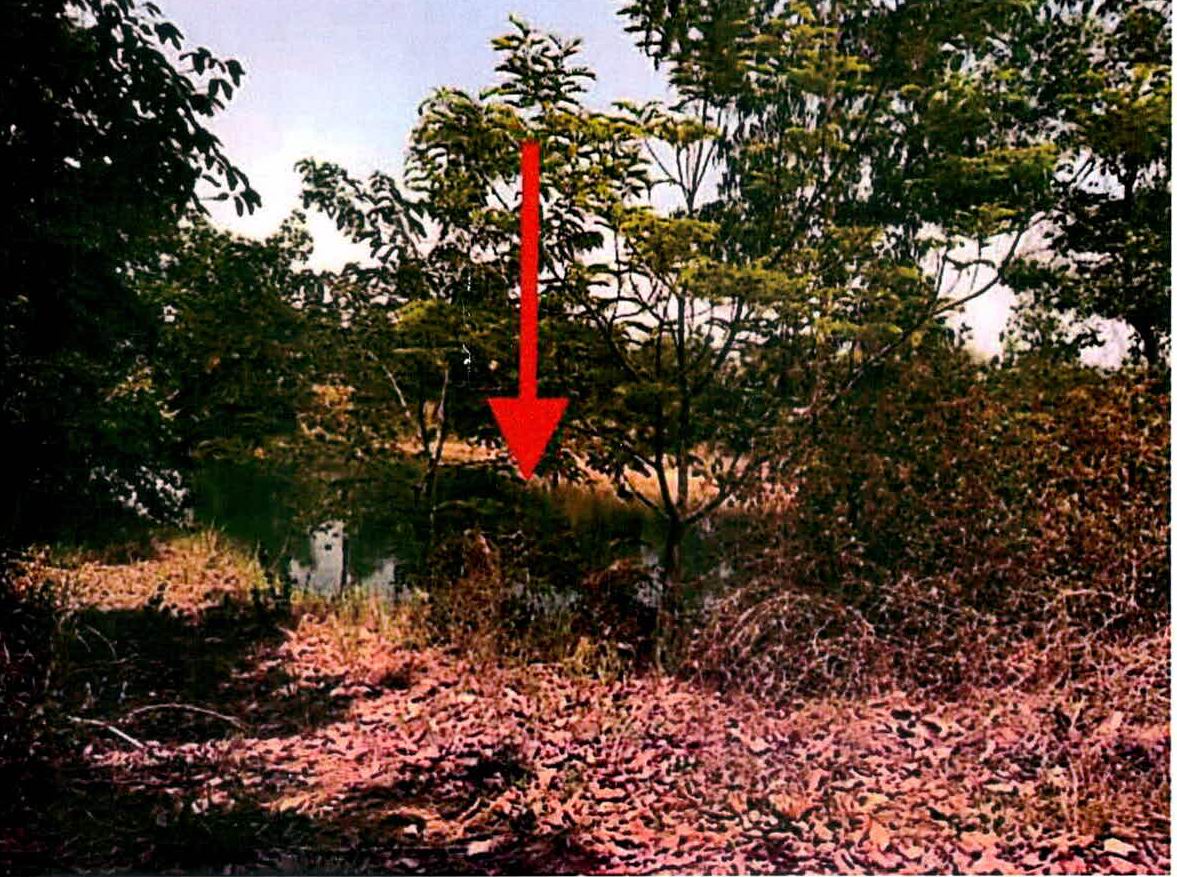 รูปที่ดินว่างเปล่า ท่าสว่าง เมืองสุรินทร์ สุรินทร์