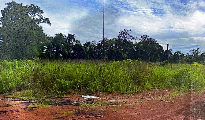 รูปที่ดินว่างเปล่า บ้านจันทน์ บ้านดุง อุดรธานี