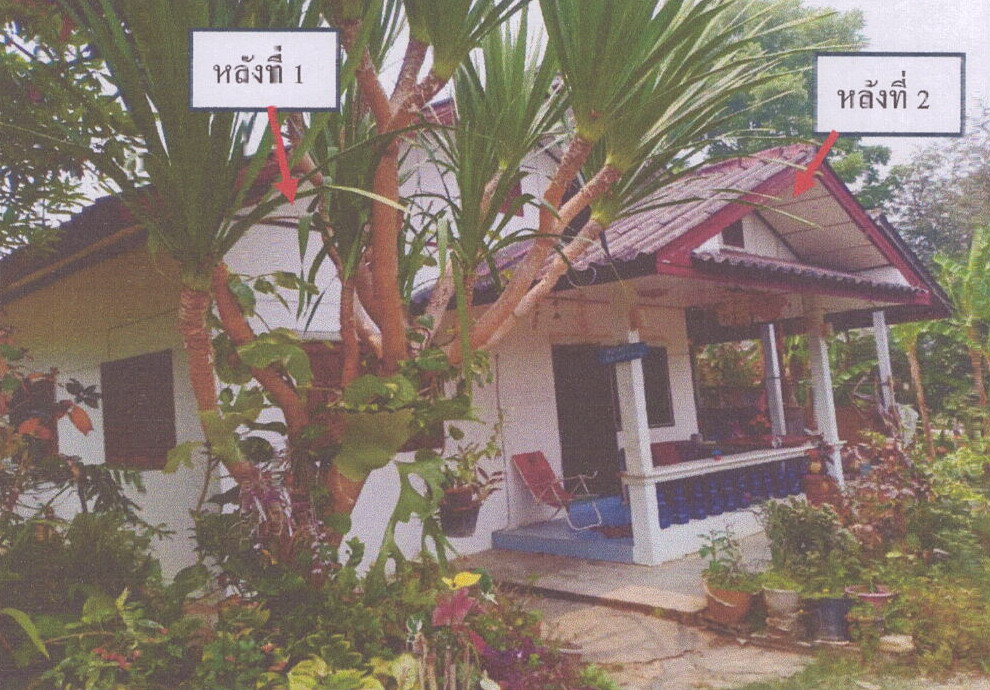 รูปที่ดินพร้อมสิ่งปลูกสร้าง ห้วยไคร้ แม่สาย เชียงราย