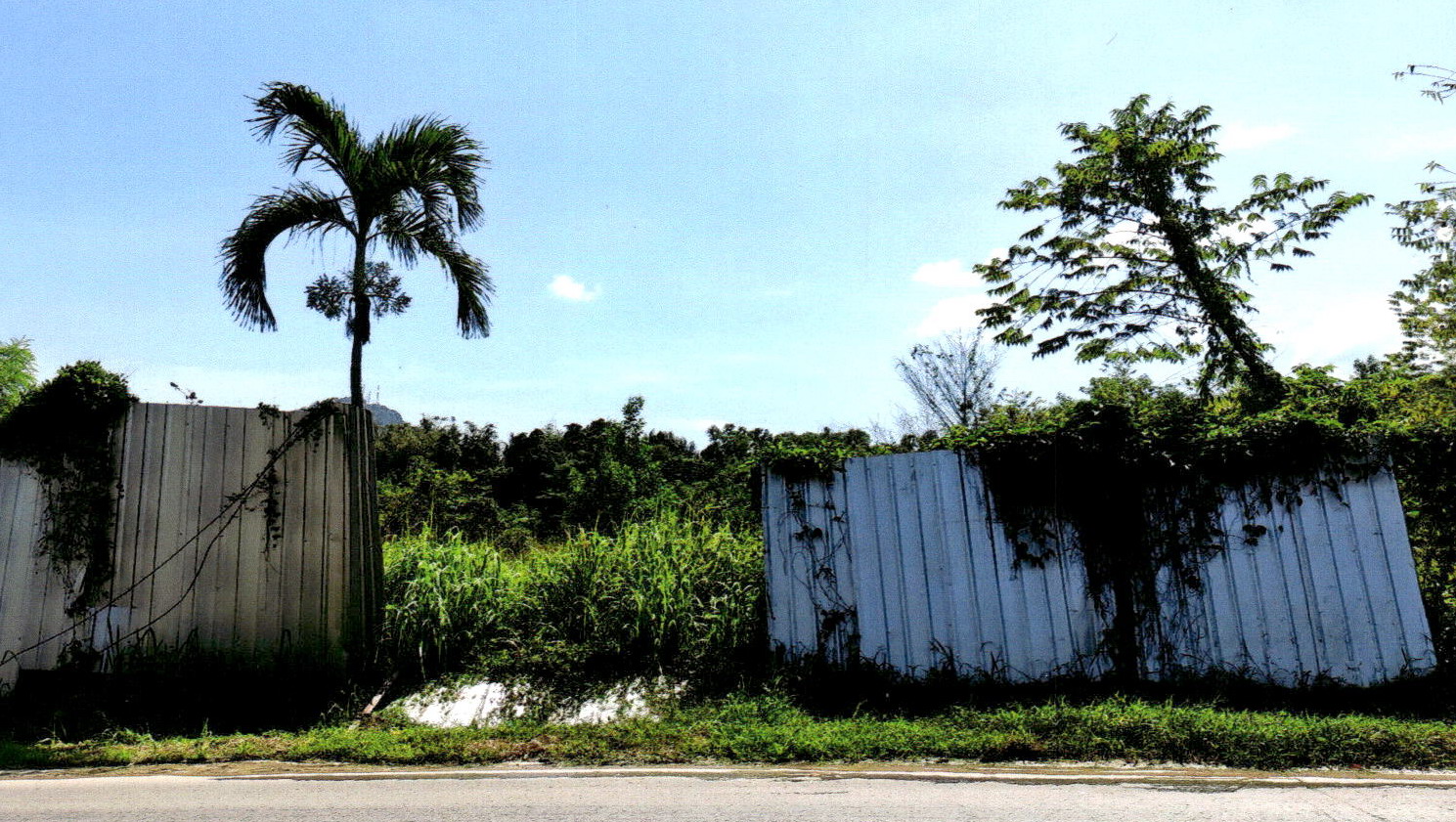 รูปที่ดินว่างเปล่า รัษฎา เมืองภูเก็ต ภูเก็ต
