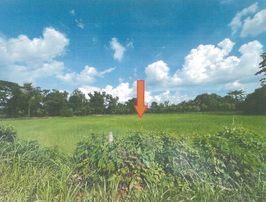 รูปที่ดินว่างเปล่า บัวขาว กุฉินารายณ์ กาฬสินธุ์