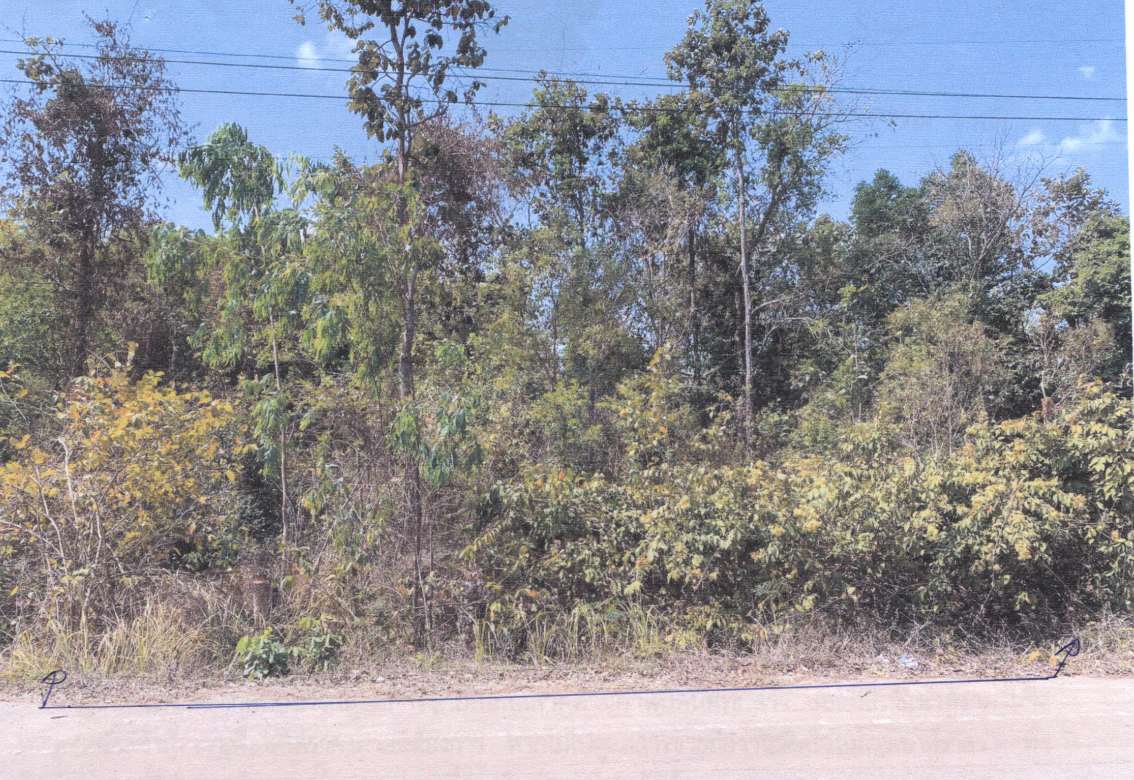 รูปที่ดินว่างเปล่า สามัคคีพัฒนา อากาศอำนวย สกลนคร