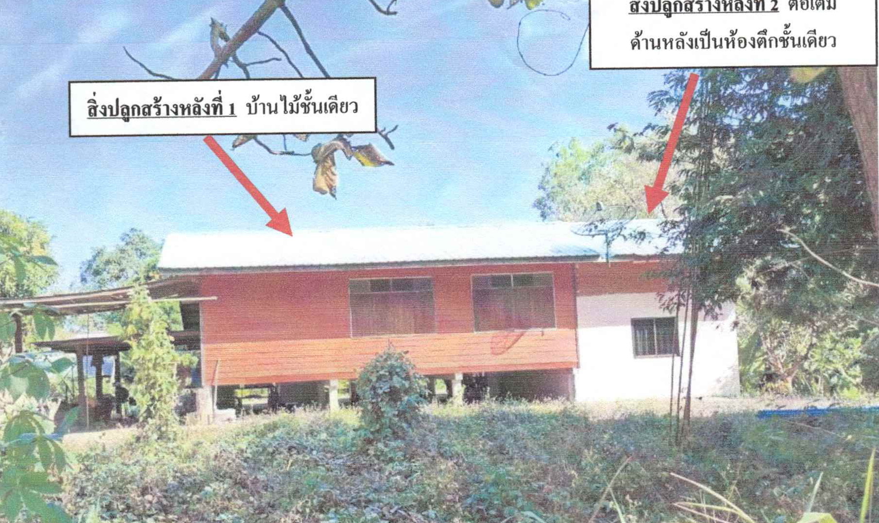 รูปที่ดินพร้อมสิ่งปลูกสร้าง ภูกระดึง ภูกระดึง เลย
