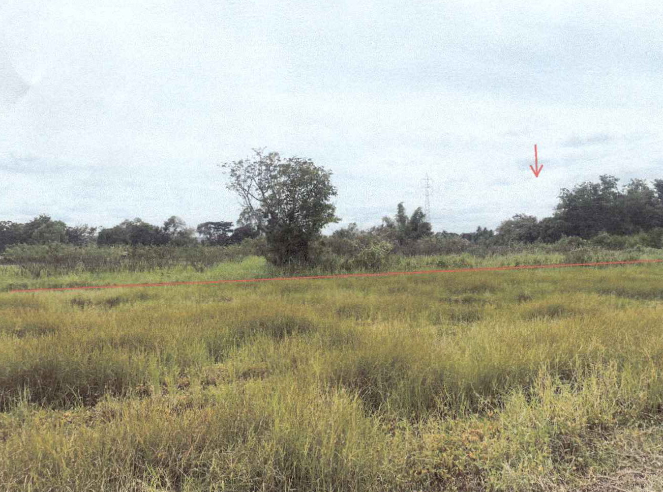 รูปที่ดินว่างเปล่า มิตรภาพ สีคิ้ว นครราชสีมา